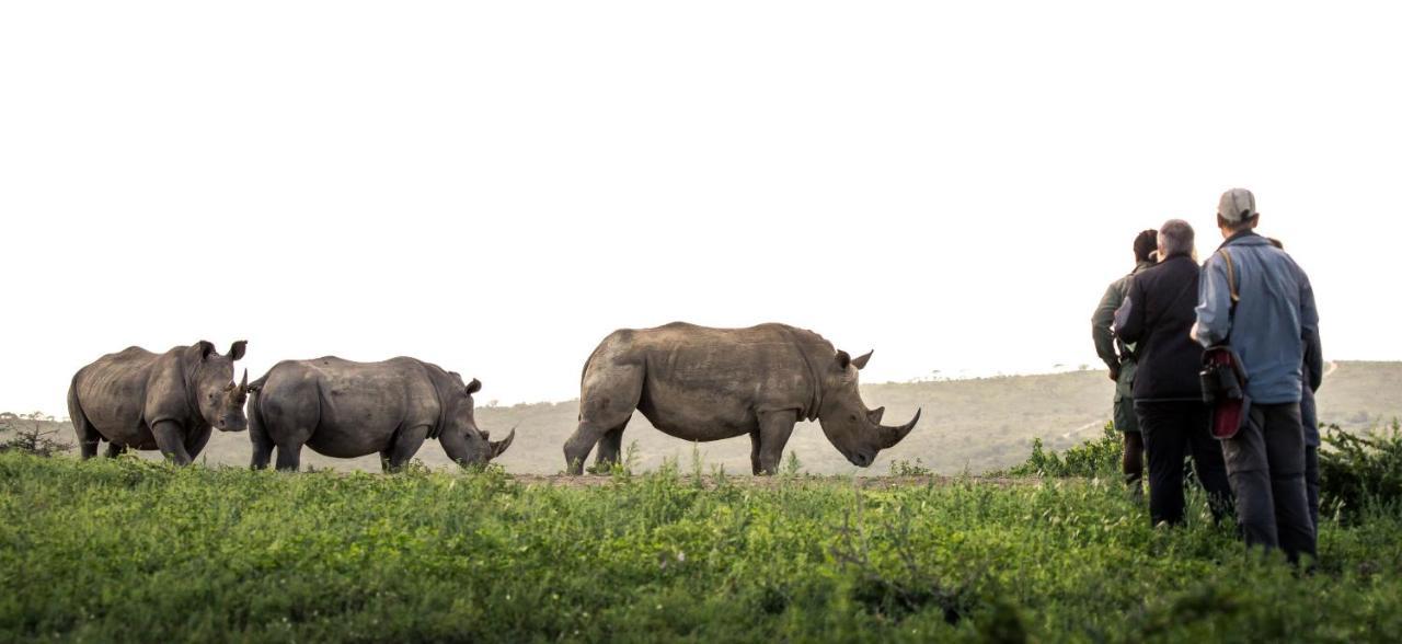 Rhino Ridge Safari Lodge KwaNompondo Zewnętrze zdjęcie