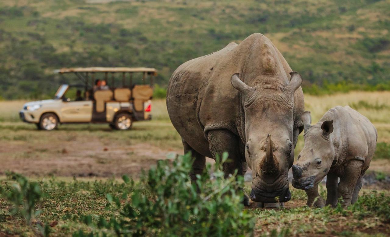 Rhino Ridge Safari Lodge KwaNompondo Zewnętrze zdjęcie