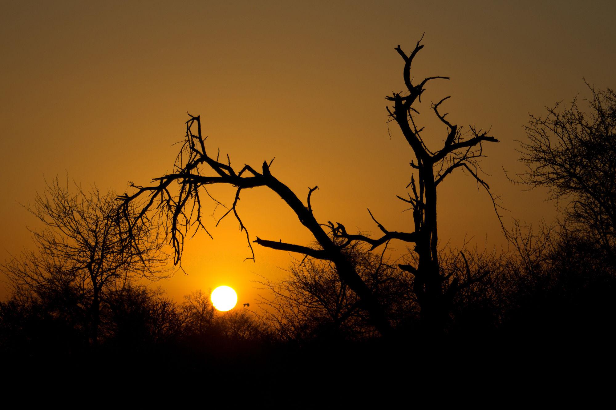 Rhino Ridge Safari Lodge KwaNompondo Zewnętrze zdjęcie